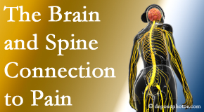 Layden Chiropractic looks at the connection between the brain and spine in back pain patients to better help them find pain relief.