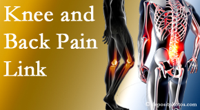 Layden Chiropractic treats back pain and knee osteoarthritis to help prevent falls.