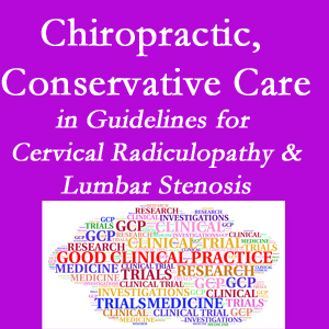 Plainville chiropractic care for cervical radiculopathy and lumbar spinal stenosis is often ignored in medical studies and recommendations despite documented benefits. 