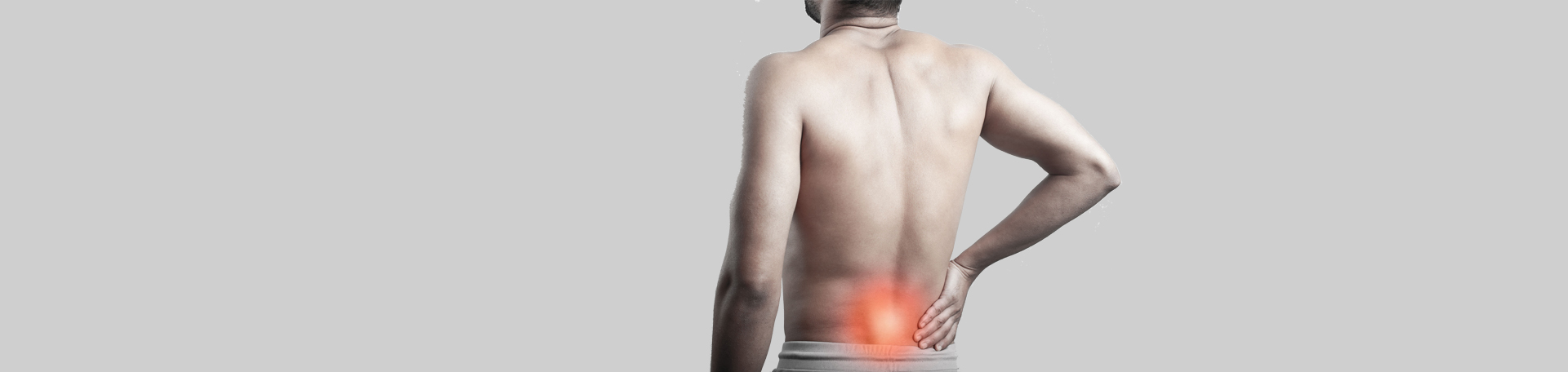Plainville back paraspinal muscles