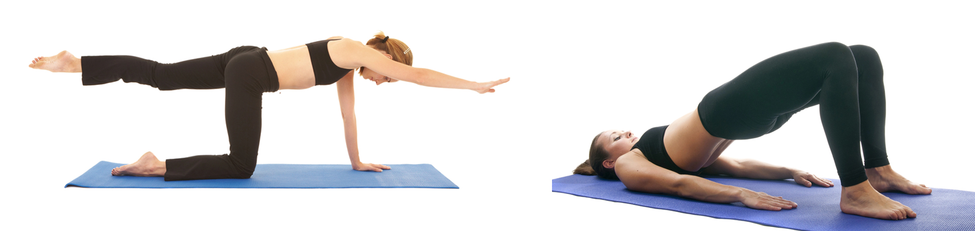 Plainville chiropractic exercise to strengthen multifidus 