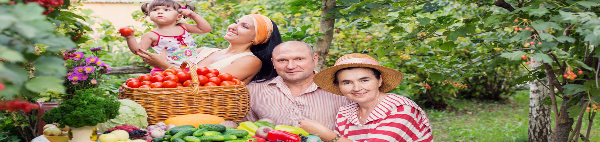 Plainville chiropractic summer health tips