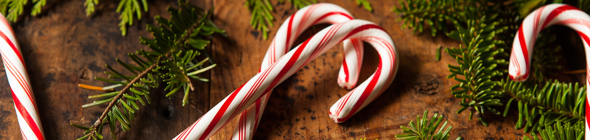 Peppermint for Plainville Cognition & Appetite Regulation!