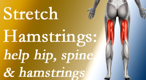 Layden Chiropractic promotes back pain patients to stretch hamstrings for length, range of motion and flexibility to support the spine.