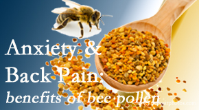 Layden Chiropractic shares info on the benefits of bee pollen on cognitive function that may be impaired when dealing with back pain.