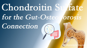 Layden Chiropractic shares new research linking microbiota in the gut to chondroitin sulfate and bone health and osteoporosis. 