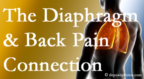 Layden Chiropractic recognizes the relationship of the diaphragm to the body and spine and back pain. 