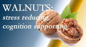 Layden Chiropractic shares a picture of a walnut which is said to be good for the gut and reduce stress.