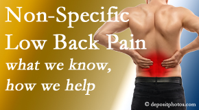 Layden Chiropractic share the specific characteristics and treatment of non-specific low back pain. 