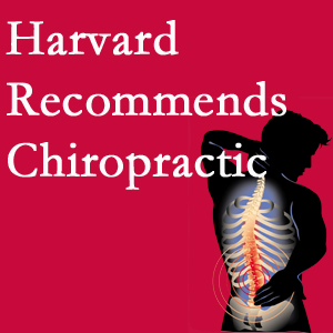 Layden Chiropractic offers chiropractic care like Harvard recommends.