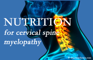Layden Chiropractic presents the nutritional factors in cervical spine myelopathy in its development and management.