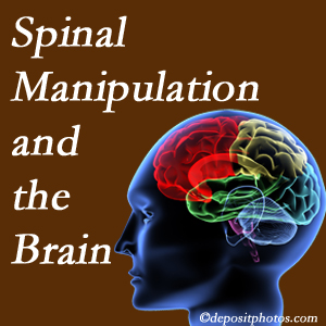 Layden Chiropractic [presents research on the benefits of spinal manipulation for brain function. 