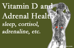 Layden Chiropractic shares new research about the effect of vitamin D on adrenal health and function.